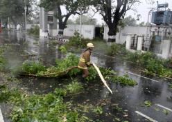 ভারদার ধাক্কা সামলে ছন্দে ফিরছে তামিলনাড়ু, মৃতের সংখ্যা বেড়ে ১০